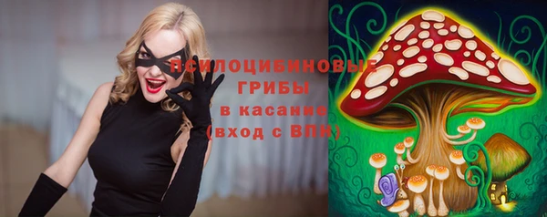 MDMA Богородицк