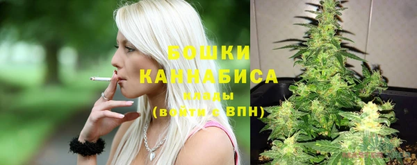 соль ск Бородино