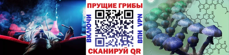 Псилоцибиновые грибы MAGIC MUSHROOMS Беломорск